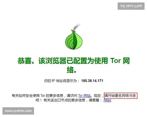 黑暗网络链接:2024年最佳的Onion和Tor网站 黑暗网络链接:2024年最佳的Onion和Tor网站