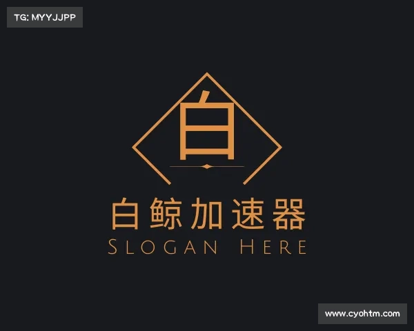 关于白鲸加速器